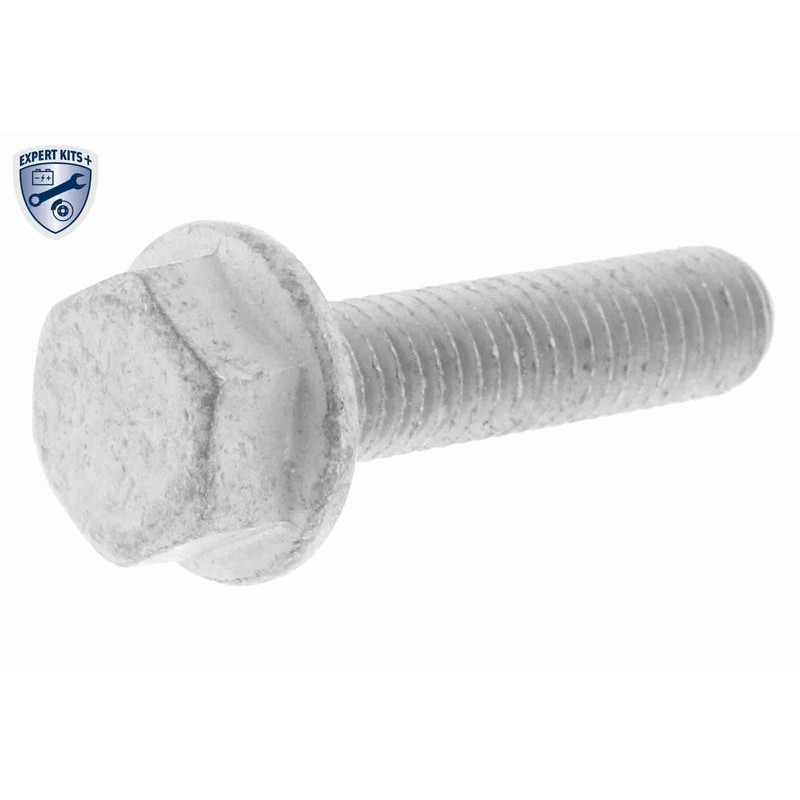 VAICO V10-50110-BEK Bomba de agua + kit correa distribución - 5