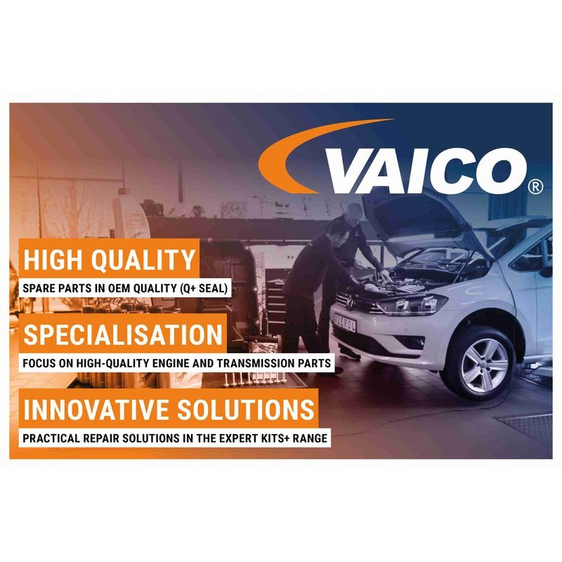 VAICO V10-5612-XXL Kit, cambio de aceite del cambio automático