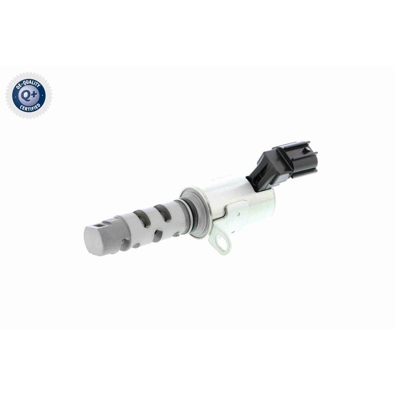 VAICO V40-1562 Válvula control, ajuste de levas - 1