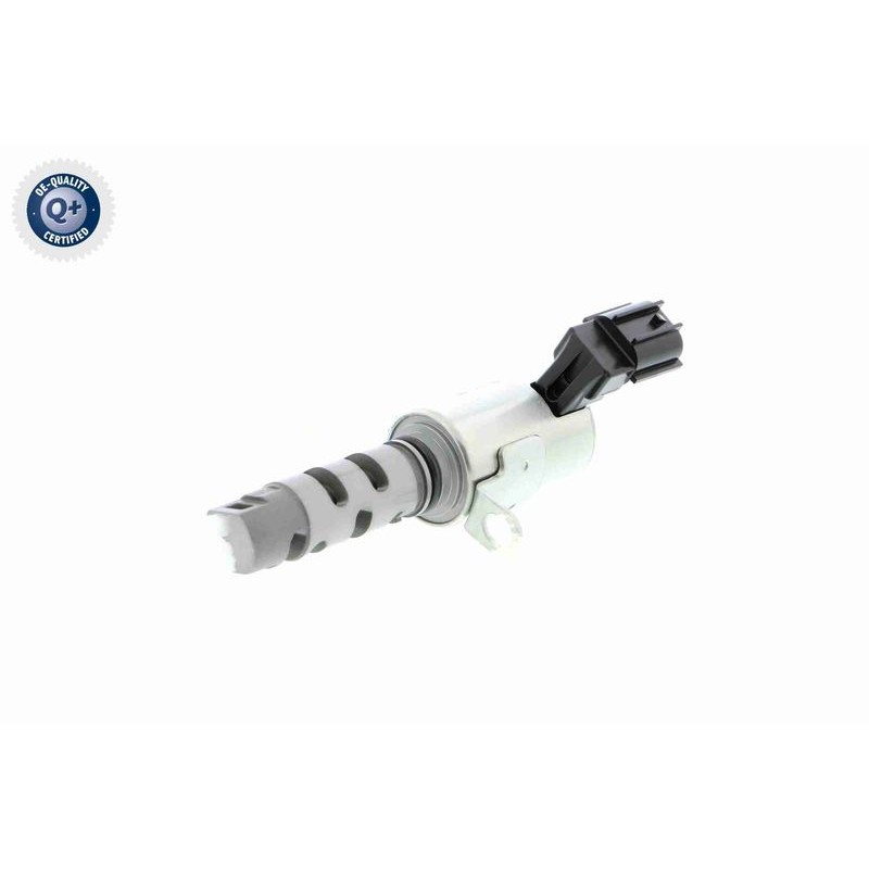 VAICO V40-1562 Válvula control, ajuste de levas - 10