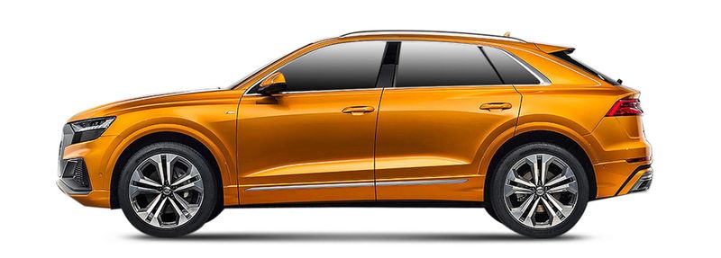 55 TFSI Mild Hybrid quattro