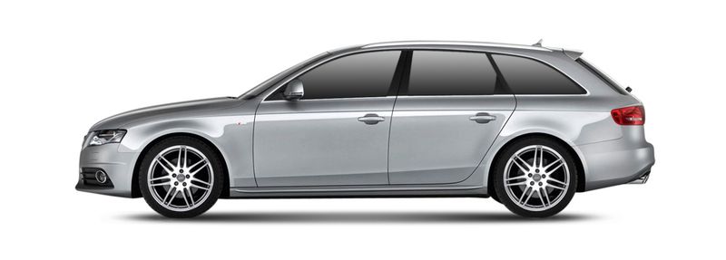 A4 B8 Avant (8K5)